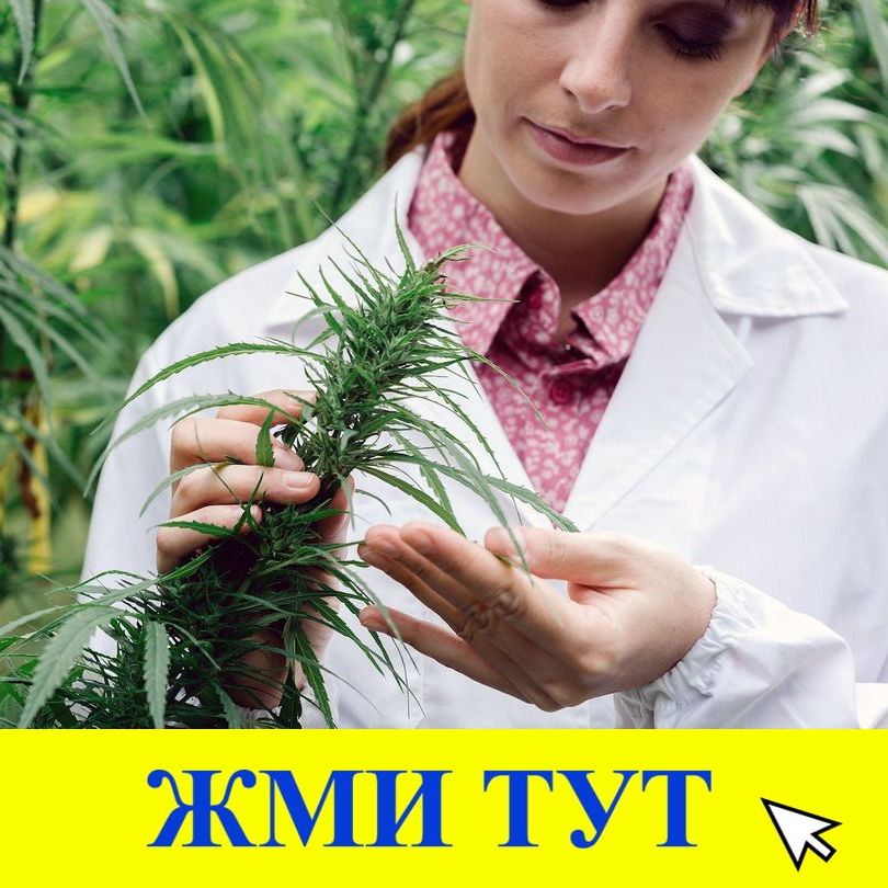 Купить наркотики в Кирово-Чепецке